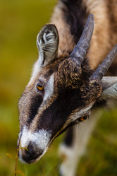 Similar image 11925727