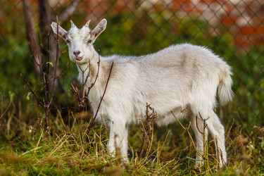 Similar image 11929906