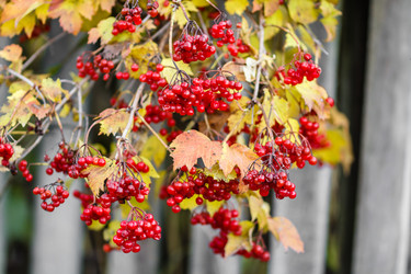 Similar image 11925318