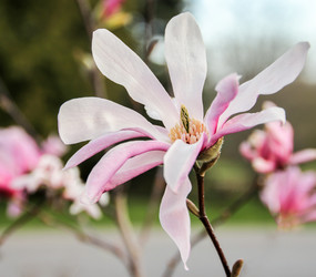 Similar image 11925107