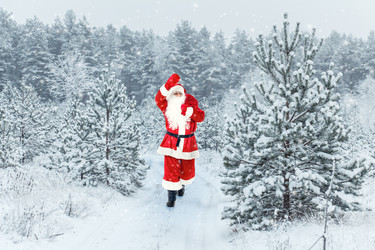 Similar image 11929882