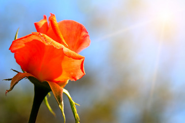 Similar image 11930186