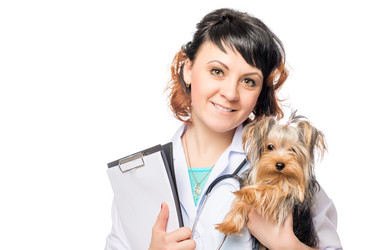 Similar image 11932416