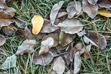 Similar image 11930099