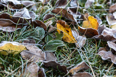 Similar image 11930119