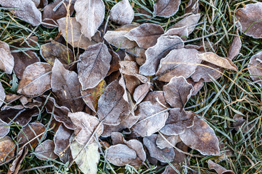 Similar image 11930120