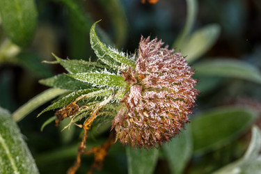 Similar image 11925319