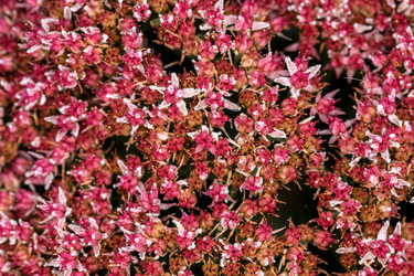 Similar image 11930078