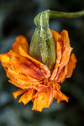 Similar image 11925321