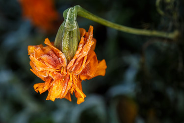 Similar image 11925322