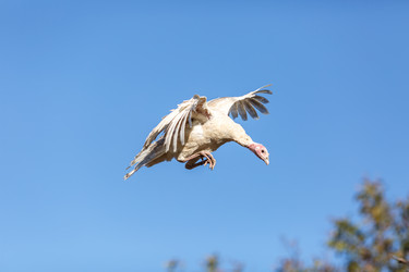 Similar image 11925728