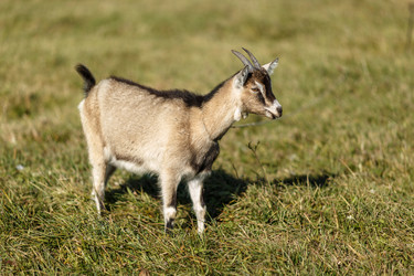 Similar image 11930051