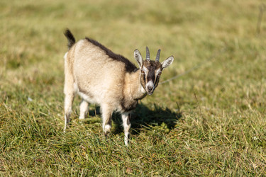 Similar image 11930052