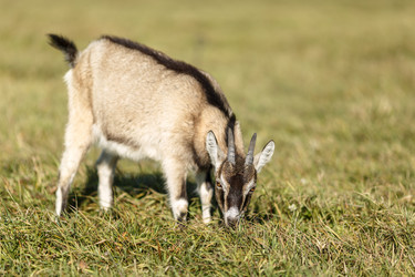 Similar image 11930053