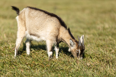 Similar image 11925729