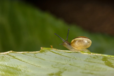 Similar image 11925323