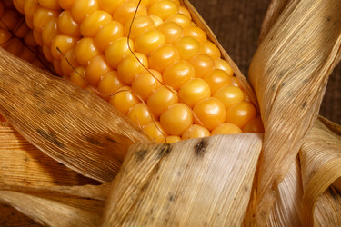 Similar image 11925730