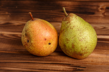 Similar image 11925327