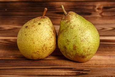 Similar image 11925328