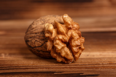 Similar image 11925750