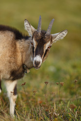 Similar image 11925332