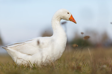 Similar image 11925751