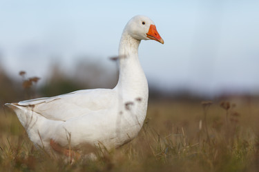 Similar image 11930123