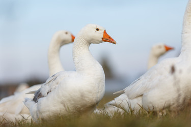 Similar image 11930124