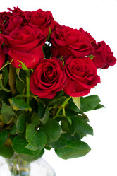 Similar image 11935733