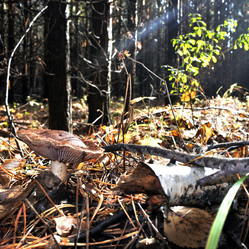 Similar image 11930147