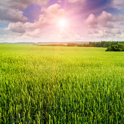 Similar image 11930196