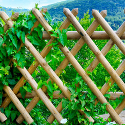 Similar image 11930218