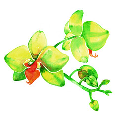 Similar image 11925070