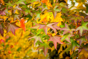 Similar image 11930156