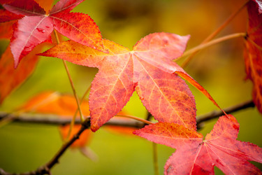 Similar image 11930157