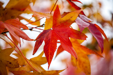 Similar image 11930158