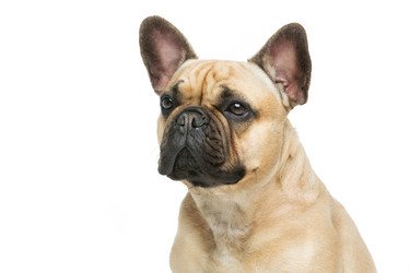 Similar image 11954499