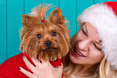 Similar image 11931858