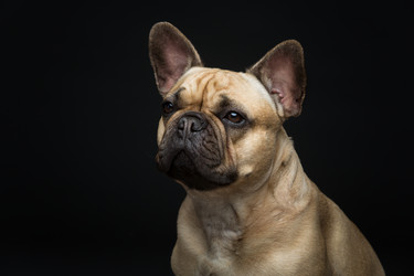 Similar image 11954502