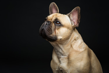 Similar image 11954650