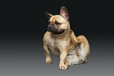 Similar image 11954503