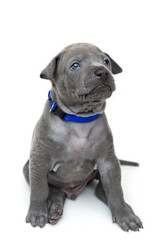 Similar image 11954524