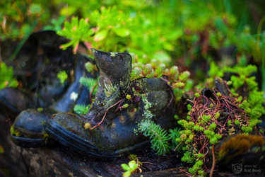 Similar image 11925077