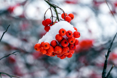 Similar image 11925078