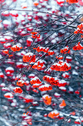 Similar image 11925079