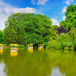 Similar image 11931618