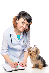 Similar image 11932428