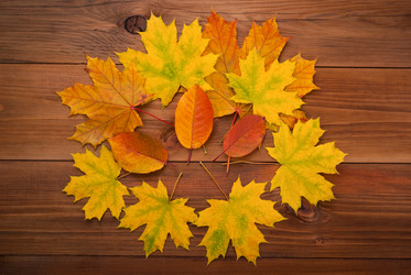 Similar image 11927248