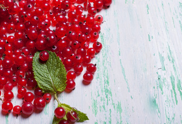 Similar image 11927268