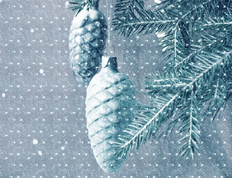 Similar image 11927269